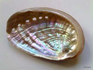 NAVAJAS A LA PLANCHA