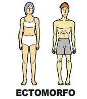 Biotipos: Ectomorfo