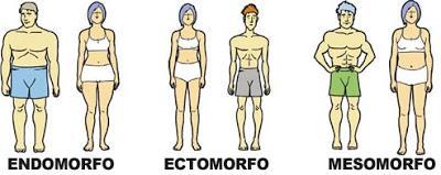 Tipos de Cuerpos: Biotipo