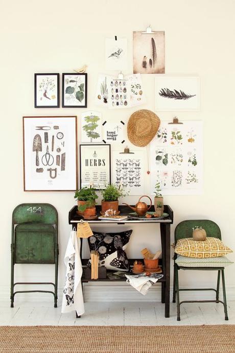 AMOR POR LA BOTANICA