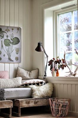 AMOR POR LA BOTANICA