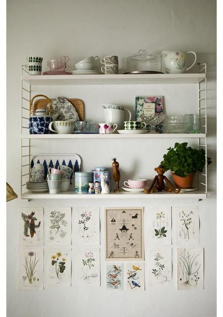 AMOR POR LA BOTANICA