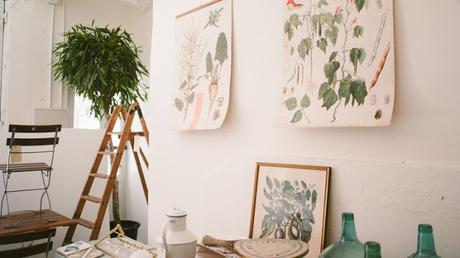 AMOR POR LA BOTANICA