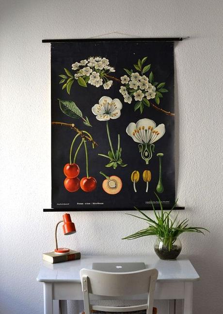 AMOR POR LA BOTANICA