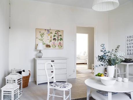 AMOR POR LA BOTANICA