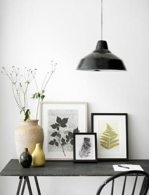 AMOR POR LA BOTANICA