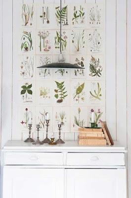 AMOR POR LA BOTANICA