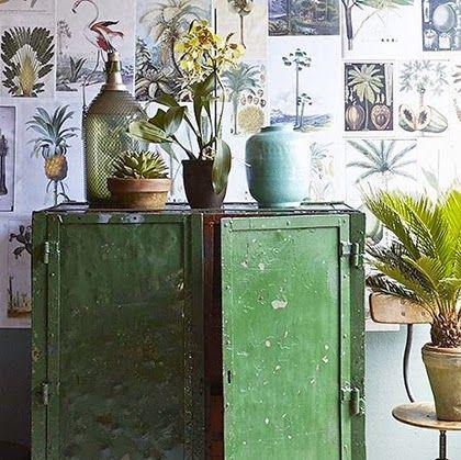 AMOR POR LA BOTANICA