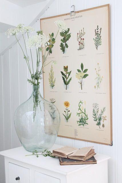 AMOR POR LA BOTANICA