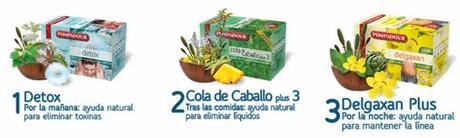 Bikini Plan de Pompadour