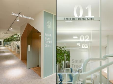 SMALL TREE DENTAL CLINIC: UNA CLÍNICA DENTAL CON UN INTERIORISMO DE LO MÁS ORIGINAL