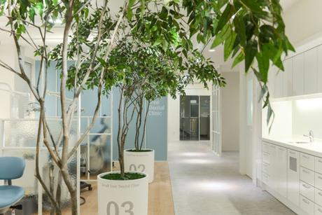 SMALL TREE DENTAL CLINIC: UNA CLÍNICA DENTAL CON UN INTERIORISMO DE LO MÁS ORIGINAL