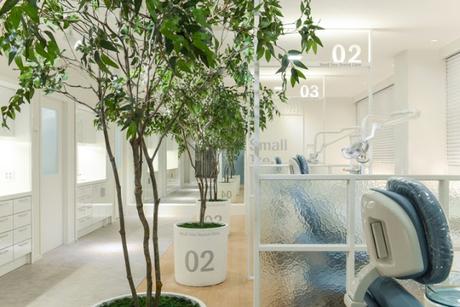 SMALL TREE DENTAL CLINIC: UNA CLÍNICA DENTAL CON UN INTERIORISMO DE LO MÁS ORIGINAL