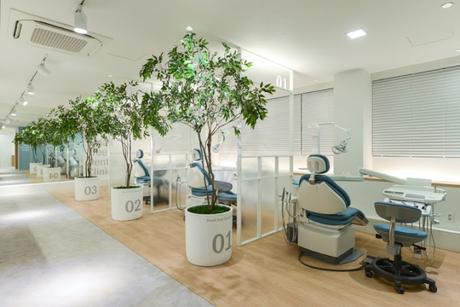 SMALL TREE DENTAL CLINIC: UNA CLÍNICA DENTAL CON UN INTERIORISMO DE LO MÁS ORIGINAL