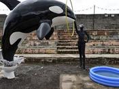 Dismaland, parque "diversiones" apto para menores