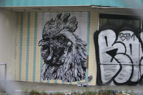 ARTISTAS URBANOS: GAIA