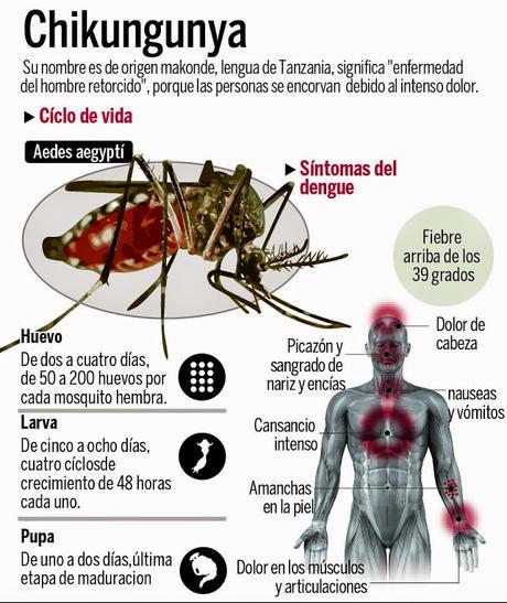 Virus que vienen o “revienen”: Chikungunya y polio