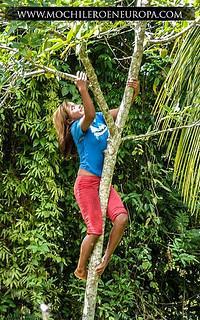 Delta del Orinoco Delta del Orinoco