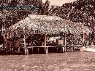 Delta del Orinoco Delta del Orinoco