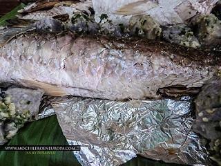 Delta del Orinoco Delta del Orinoco