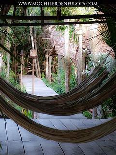 Delta del Orinoco Delta del Orinoco