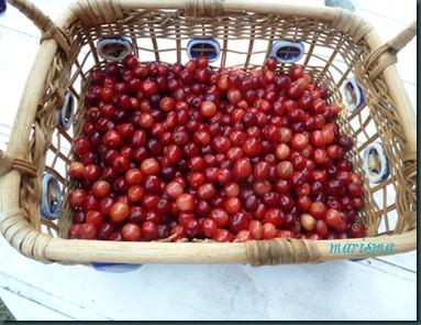 tarta de cerezas silvestres y gofio1 copia