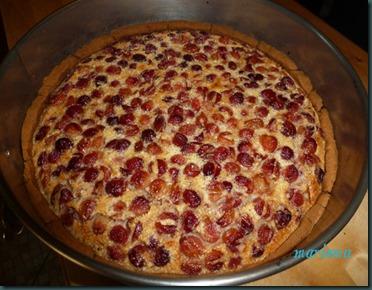 tarta de cerezas silvestres y gofio10 copia