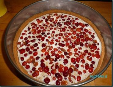 tarta de cerezas silvestres y gofio7 copia