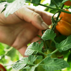 Apúntate a #SolísResponsable: ganas salud y gana el medio ambiente