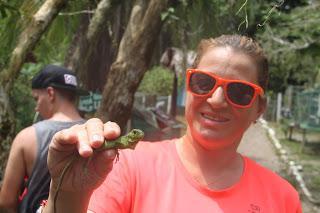 Día 5 (8/8/15): Kekoldis, iguanas y chapuzón Día 5 (8/8/15): Kekoldis, iguanas y chapuzón
