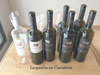 Cata Vertical de Ferratus Sensaciones 05-06-07-08 y Elanio: Irrepetible