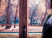 RESEÑA: Bajo tilos (María José Moreno)