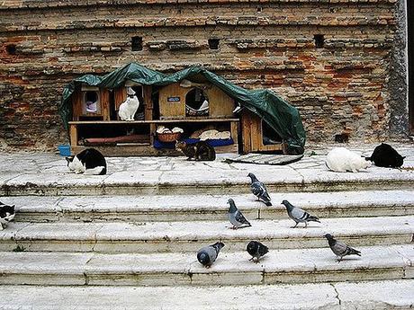 San Lorenzo(Venecia)