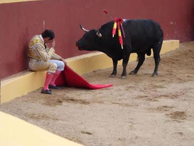 En pro o en contra de la tauromaquia y la foto que impactó a Europa.