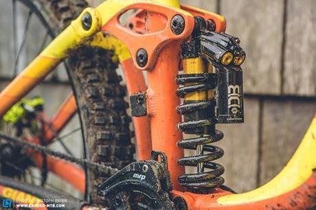 11953092_763785563731633_1371703700333981680_n