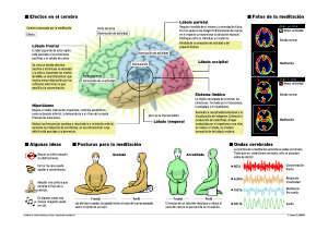 efectos-de-la-meditación-en-el-cerebro