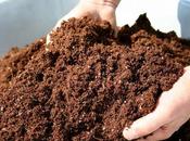 Manual para buen Compostaje