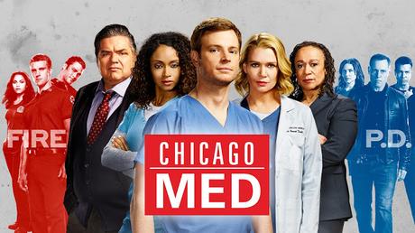 ESTRENOS DE SERIES EN USA TEMPORADA 2015/2016: Series en pocas palabras