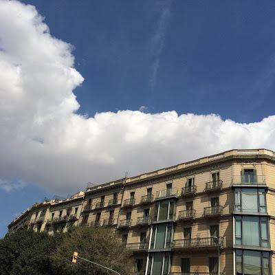 Y15W32: CLASES DE LUCHA