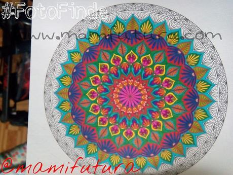 #FotoFinde LXXXI #FotoFinde LXXXI