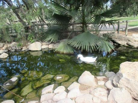 deporte, bici, desayuno, porra, churros, calor, 