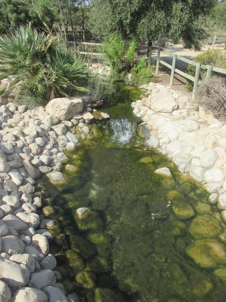 deporte, bici, desayuno, porra, churros, calor, 