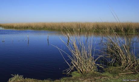 Udaondo -Abbott (septiembre 2015)