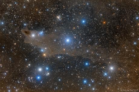 La nebulosa del Tiburón