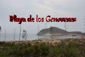 Playa de los Genoveses, la mejor del 2015 en España