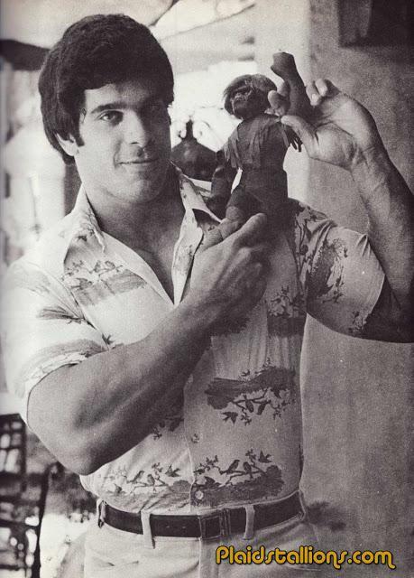 EL INCREIBLE HULK, LA SERIE