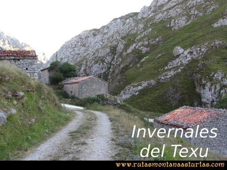 Ruta Peña Castil y Cueva del Hielo: Invernales del Texu