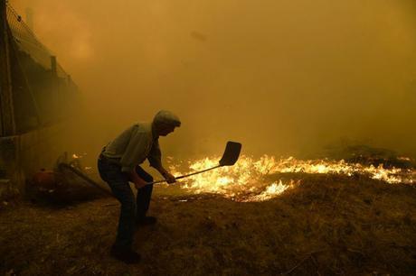 Incendios (Todos los años la misma historia)