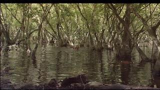 Sección Novela Adolescente - Reseña de Sección Novela Adolescente - Reseña de