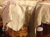 Kombucha hongo milagro